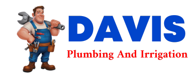 Trusted plumber in CASS CITY